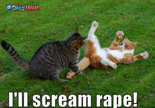 hilarious-funny-cute-pictures-of_ill_scream_rape_lolcat.jpeg